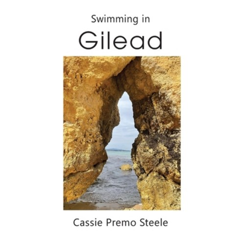 (영문도서) Swimming in Gilead Paperback, Yellow Arrow Publishing, English, 9798985070491