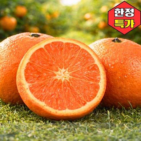 [한정특가] 산지직송 초고당도 과즙폭발 제주 카라향, 1개, 3kg 소과
