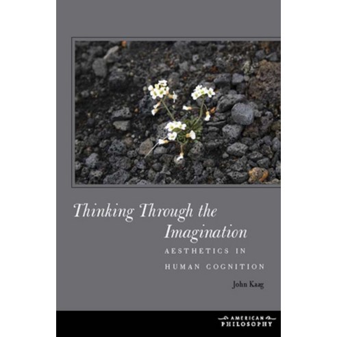 (영문도서) Thinking Through the Imagination: Aesthetics in Human Cognition Paperback, Fordham University Press, English, 9781531501846