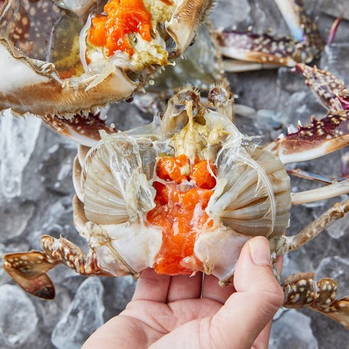 국내 제철 연평도 급랭 급냉 암꽃게 숫꽃게 절단 몽당, 08_절단 숫꽃게 1kg (_랜덤), 1개, 1kg