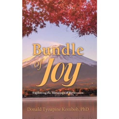 (영문도서) Bundle of Joy: Exploring the Blessings of Reflection Hardcover, WestBow Press, English, 9781973662334