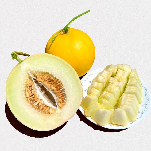고당도 고령 양구메론 5kg 1개, 농장직송 당도보장 (프리미엄) 머스크메론 고당도 고령 양구메론 5kg 1개, 농장직송 당도보장 (프리미엄) 머스크메론