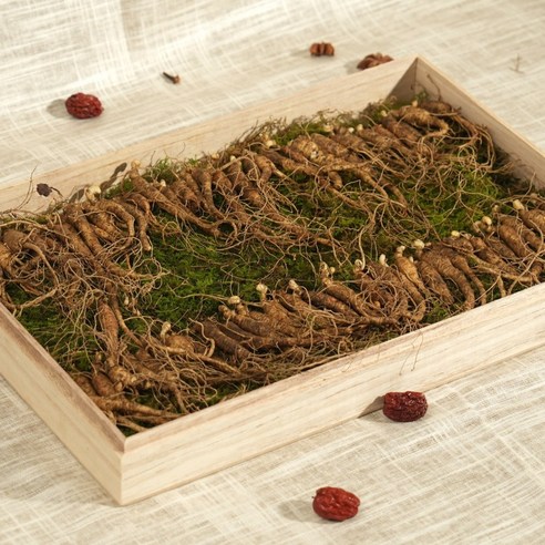 자연의 생명력을 선물하세요, 삼삼인 산양삼