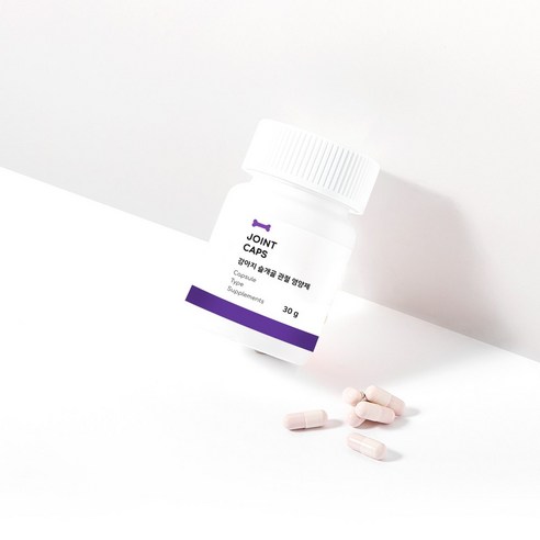 사랑하는 반려견의 건강을 지키는 최상의 선택