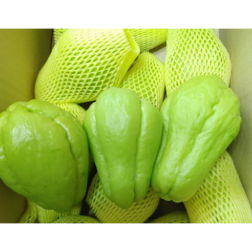 아삭아삭 국내산 차요테 치매예방 차요테야채 chayote 차요태장아찌 차요태, 3kg, 1박스 - 기타채소 | 쿠팡
