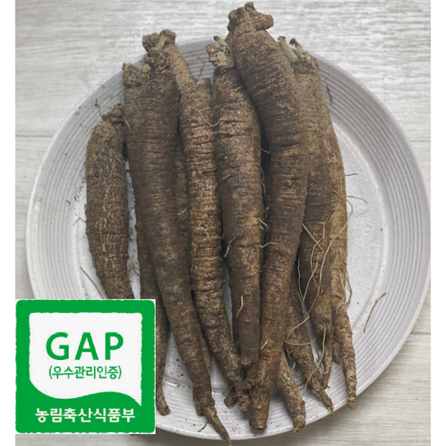 우수관리 인증-강원도 홍천 더덕 흙더덕 중 상 특, 1kg (상), 1개