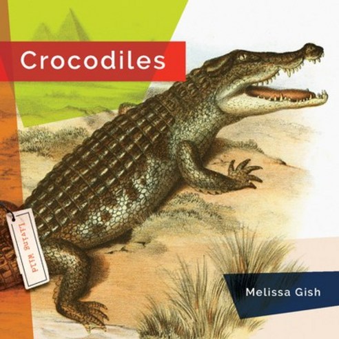 (영문도서) Crocodiles Paperback, Creative Paperbacks, English, 9781682770740