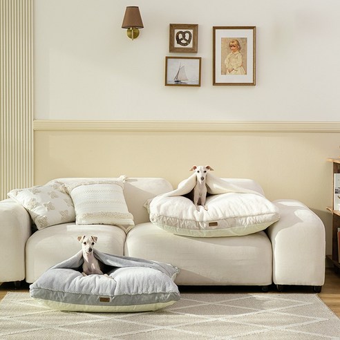 펫테일 컴피베드: 사랑스러운 반려견을 위한 안락한 숙소