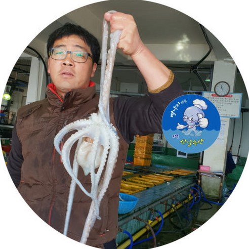 생명의 기운이 꿈틀대는 갯벌, 그 속에서 건져 올린 보물: 장흥 뻘낙지의 특별한 이야기 세발낙지