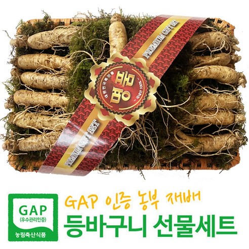 [GAP 농부 재배 인삼] 6-5년근 수삼 6호(750g 11-14뿌리) 인삼선물세트 등바구니+고급케이스+보자기 3중포장 엄선된 인삼으로포장 추석 한가위 명절 이바지 선물, 1세트, 750g