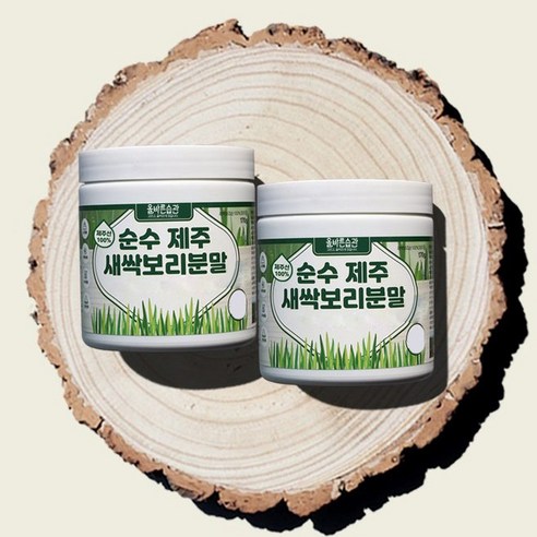 제주의 청정함을 담은 새싹보리, 건강한 습관의 시작