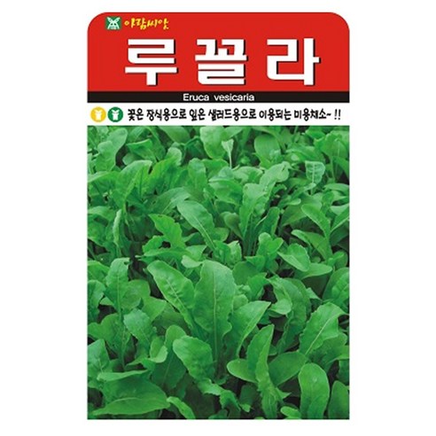 루꼴라 씨앗 2000립, 1개