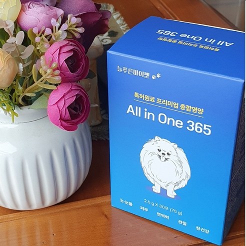 애견 건강과 웰빙을 위한 올인원 솔루션