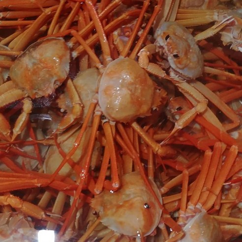 거대한 홍게로 식탁에 풍성함을 더하세요