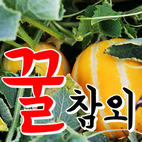 [성주참외] 진짜~성주꿀참외 2kg 산지직송, 1박스, 02.성주참외 2kg 가정용 소과