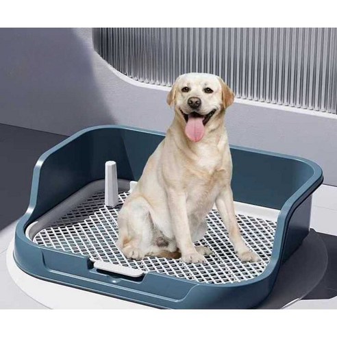 댕댕이 배변, 이제 뒷처리 걱정 없이 깔끔하게! (feat. 자동 배변 매트 사용 후기) 고정강아지배변매트