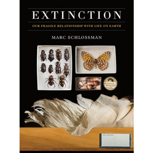 (영문도서) Extinction: Our Fragile Relationship with Life on Earth Hardcover, Ammonite Press, English, 9781781454534