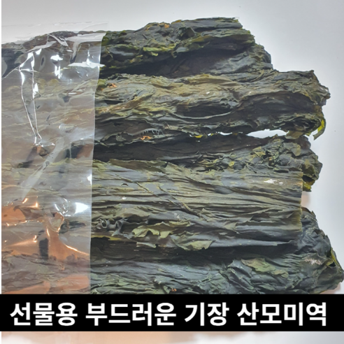 최상급 부드러운 기장산 산모미역 200g, 1개