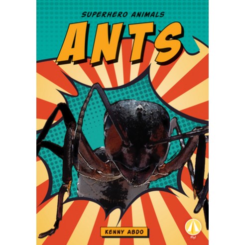 Ants Library Binding, Abdo Zoom - 가격 변동 추적 그래프 - 역대가