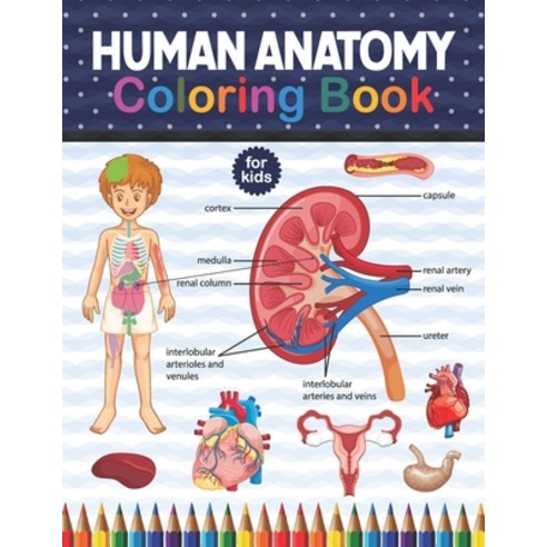 Human Anatomy Coloring Book For Kids: An Entertaining And Instructive Guide To The Human Body - Bone... Paperback, Independently Published, English, 9798566188690