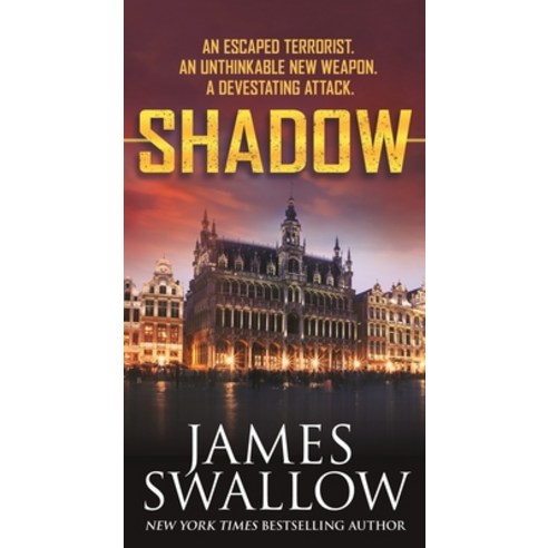 (영문도서) Shadow Mass Market Paperbound, Forge, English, 9781250750808