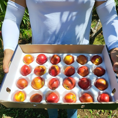 신비로운 첫사랑 맛, 천상당도 신비복숭아!