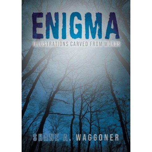 Enigma: Illustrations Carved From Words Paperback, Urlink Print & Media, LLC