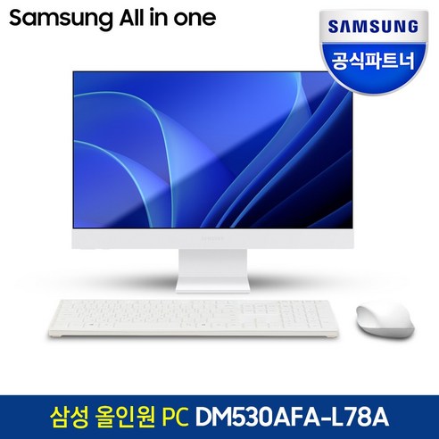 삼성 올인원PC DM530AFA-L78A 최신 13세대 i7 CPU 인터넷 강의 온라인 사무용 일체형 데스크탑 컴퓨터, RAM 16GB+SSD 512GB