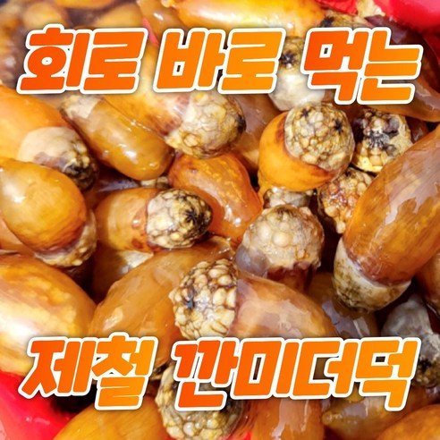 수라상궁 고성 진동 깐 미더덕 회 1kg 생물 참미더덕, 1개