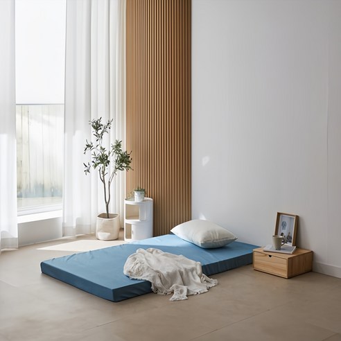 家用床墊 日用品 臥室用品 寢具 睡眠用品 室內用品 床墊 聚氨酯床墊 上層床墊 地墊