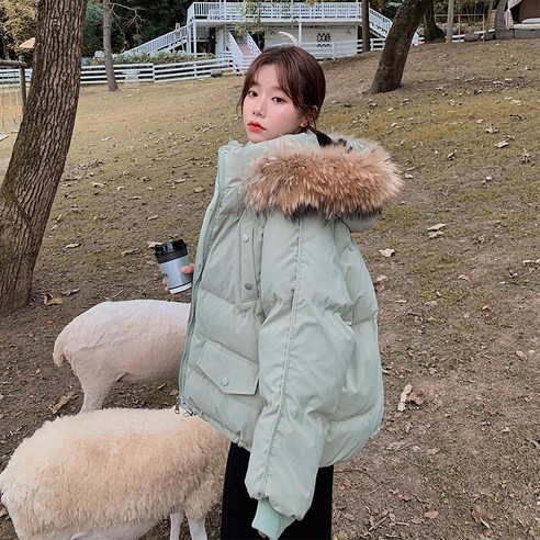 새로운 자켓 여성 중형 한국 스타일 Bf 느슨한 인터넷 연예인 Ins 홍콩 스타일 두꺼운 면화 패딩 옷