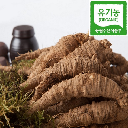 강원도 정선 산골짜기 산야에서 키운 유기농 더덕, 중 1kg