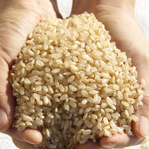 0분도현미 10kg 건강한 느림보농사꾼의 자연재배 쌀
