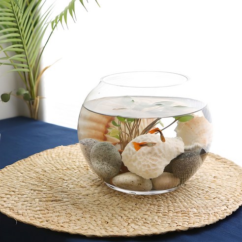 작은 행복을 담는 투명한 공간, 삼호유리 볼어항 활용법 원형어항