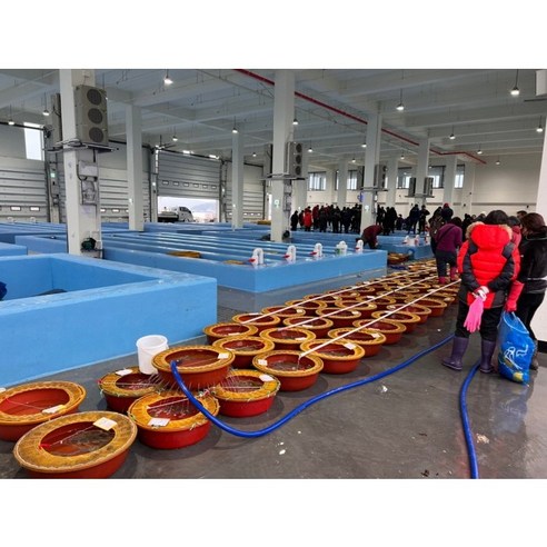 오늘 저녁, 잃어버린 입맛 되찾아줄 '진짜' 낙지 한 상!