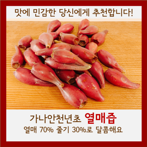 가나안천년초 열매즙 3개월분 120ml X 180포, 180개