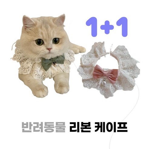 슈어마켓 1+1 반려동물 리본 케이프, 1세트, 진주핑크+진주그린