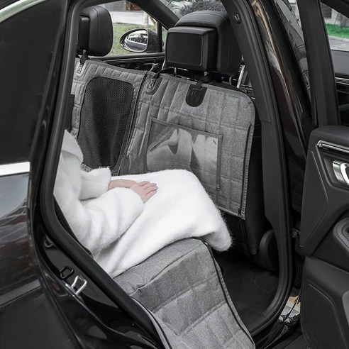 안전하고 편안한 반려동물 여행의 시작