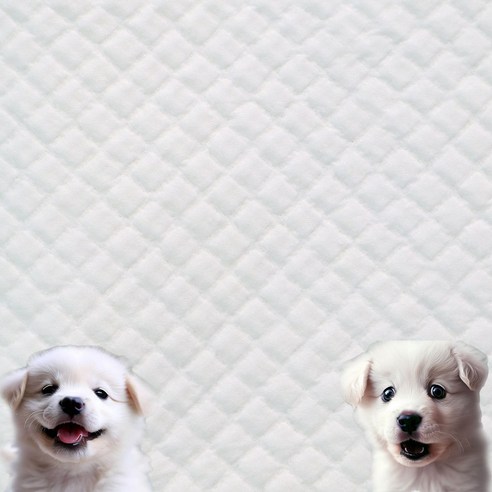 반려견의 쾌적함과 위생 관리를 위한 안심패드