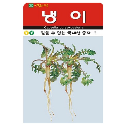 냉이 씨앗 3종세트 나물 종자 씨, 3개