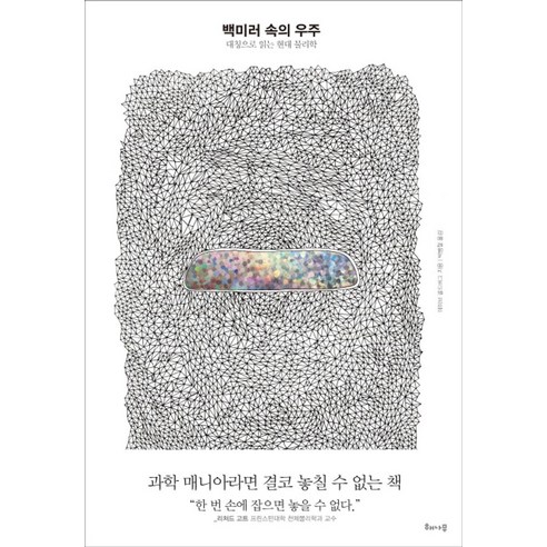 백미러 속의 우주:대칭으로 읽는 현대 물리학, 해나무, 데이브 골드버그 저/박병철 역