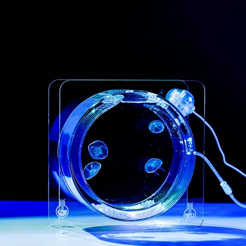 몽환적인 나만의 작은 바다, 해파리 키우기로 특별한 일상을 선물하세요 애완해파리