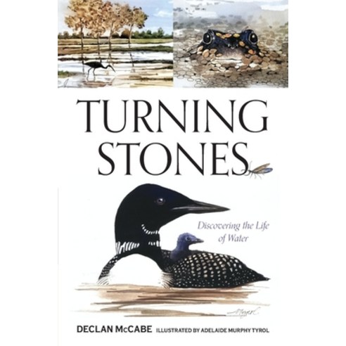 (영문도서) Turning Stones: Discovering the Life of Water Paperback, Down East Books, English, 9781684751839