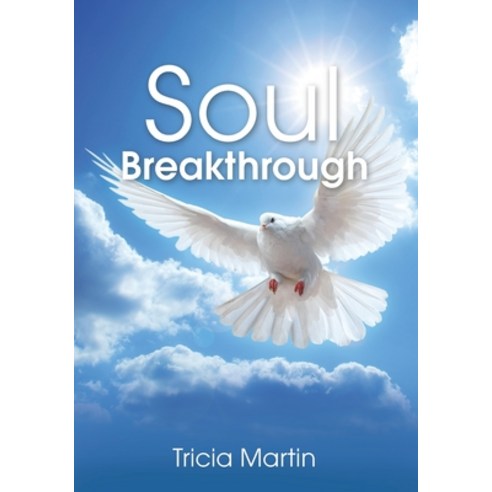 (영문도서) Soul Breakthrough Paperback, Independently Published, English, 9781730980794