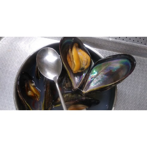 포기할 수 없는 국물 맛 자연산 홍합 담치 섭