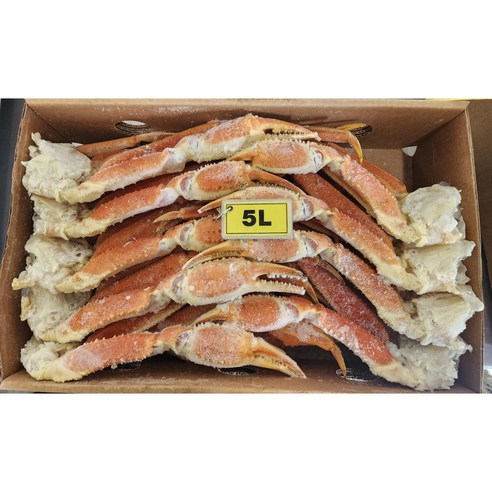 [잇팅나우ㅣ인기상품] 집들이나 파티에 완벽한 스노우크랩 왕특대: 5L 점보 사이즈 [EatingNOWㅣ추천상품]