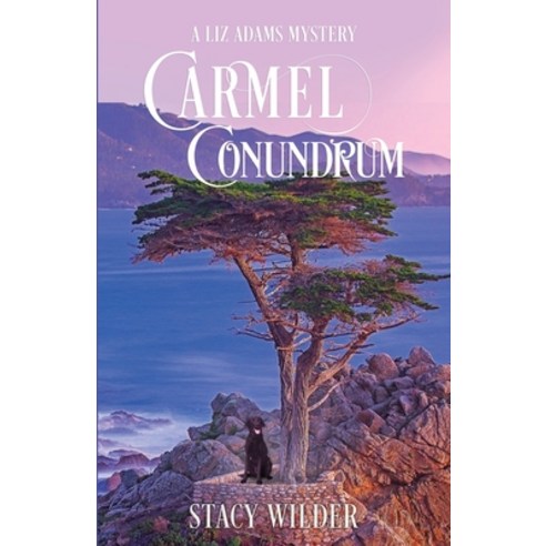 (영문도서) Carmel Conundrum Paperback, Wild Hawk Press, English, 9798985426625