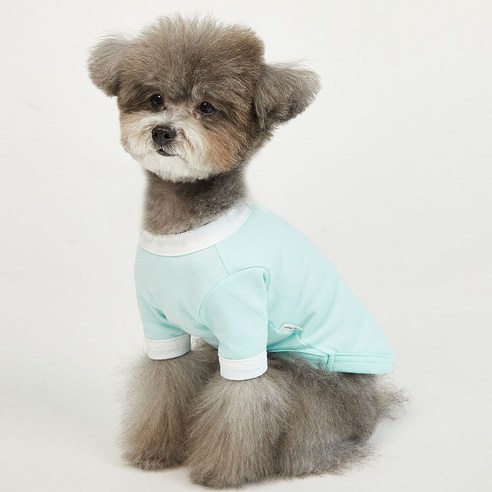 럭키페터 컬러링거 강아지 옷 소형견 대형견 티셔츠 실내복 강아지 내복, 민트+화이트, 2개