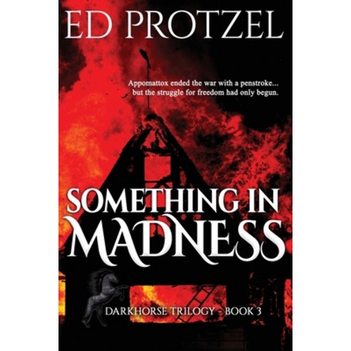 Something in Madness Paperback, Touchpoint Press, English, 9781952816109