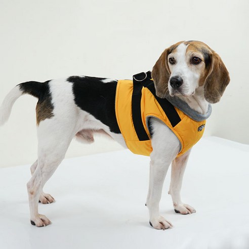 realpet 대형견 숏패딩 하네스, Yellow
